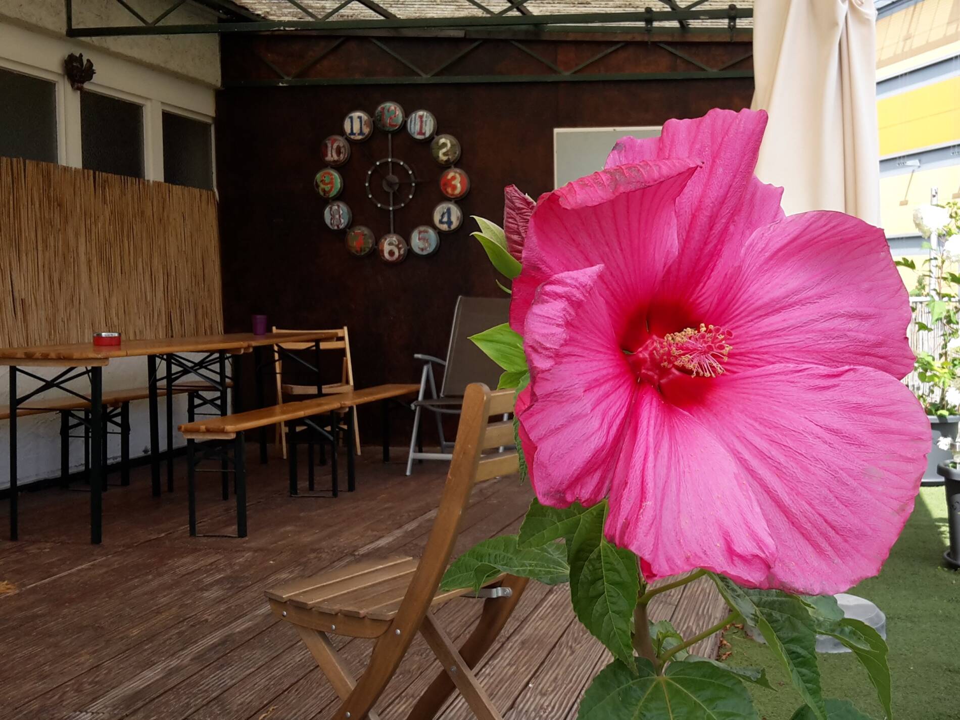 Dachterrasse Offenbach